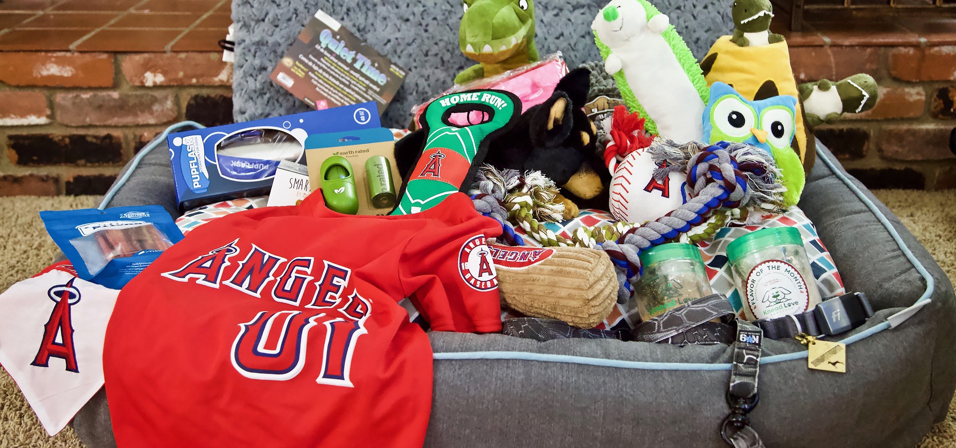 Our puppy welcome supplies.