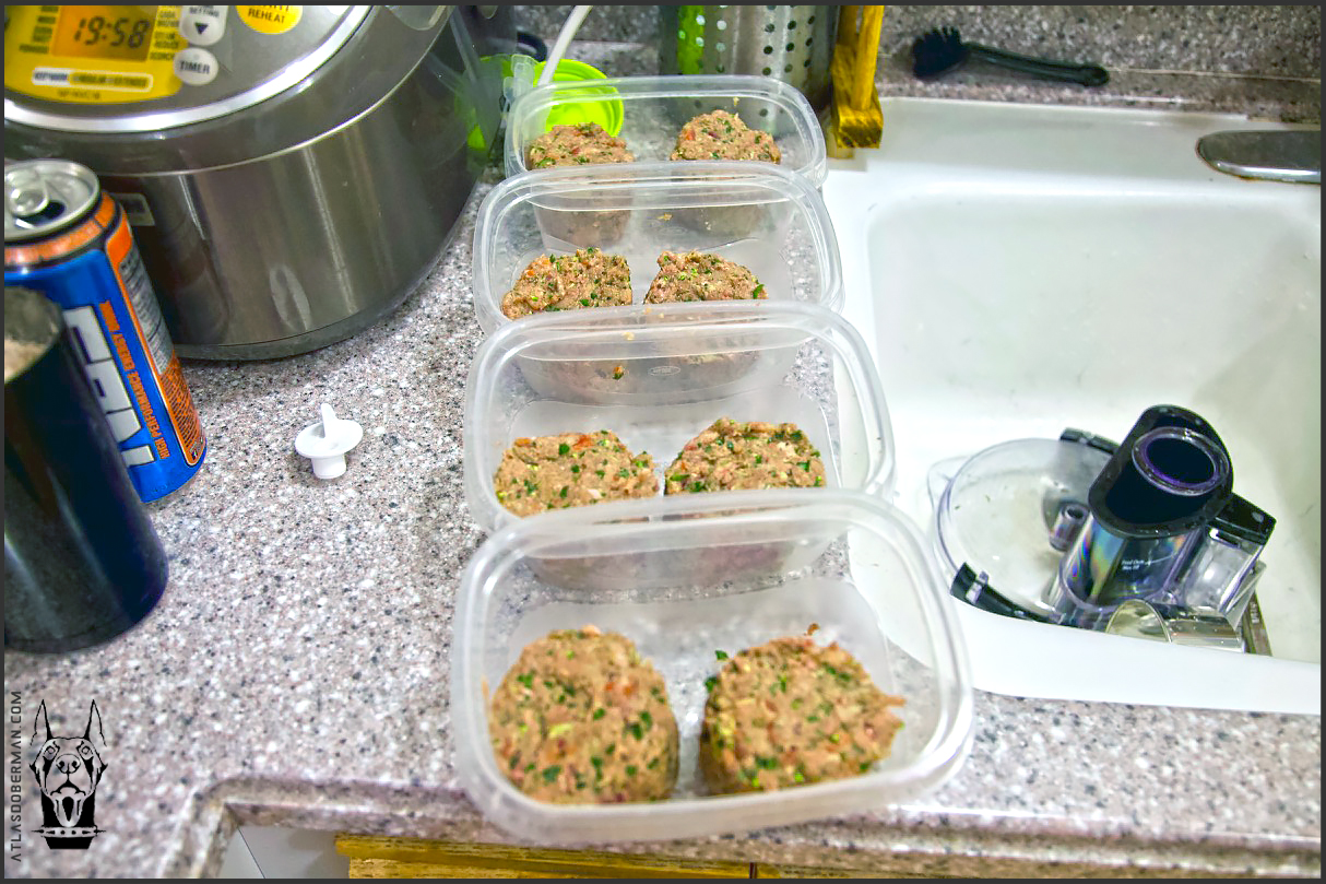 Introducing Our Doberman to a Homemade Raw Food Diet ATLAS' Den