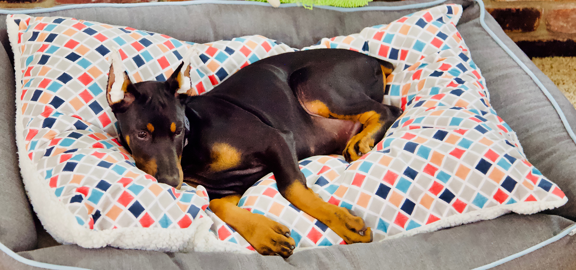 Atlas earned back his beds.
