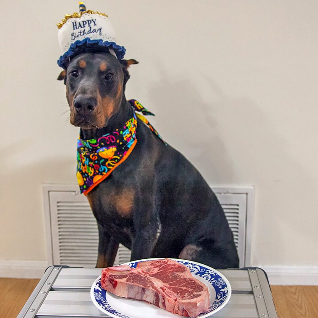 Celebrating Atlas’ First Birthday - ATLAS’ Den