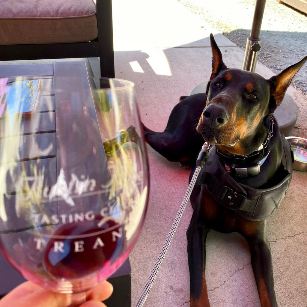 Wine Tasting with Our Doberman at Austin  Hope Family & Treana Vineyard