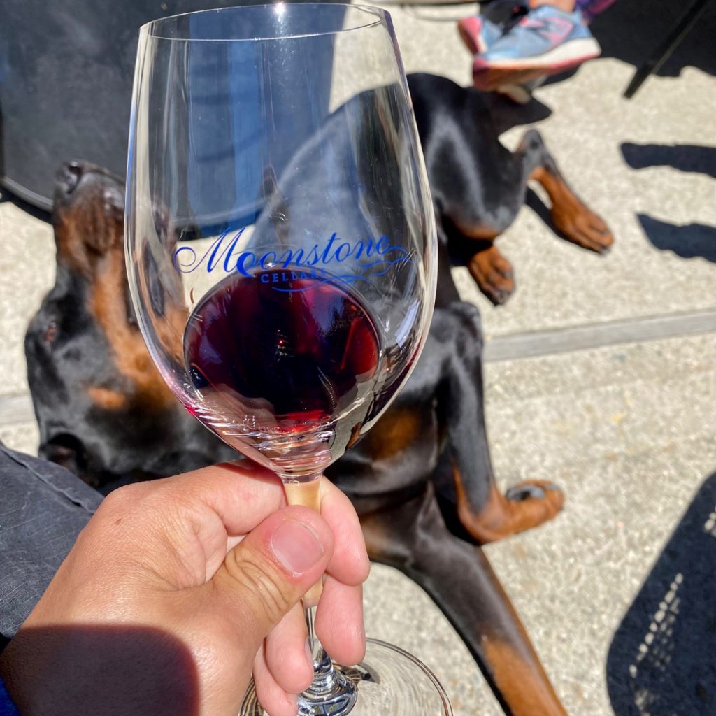 Wine Tasting with Our Doberman at Moonstone Cellars